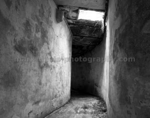 tunnel vision lnd sm.jpg